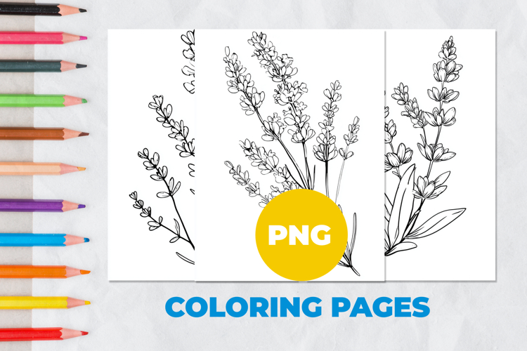 Lavender flower Coloring Pages | Coloring book