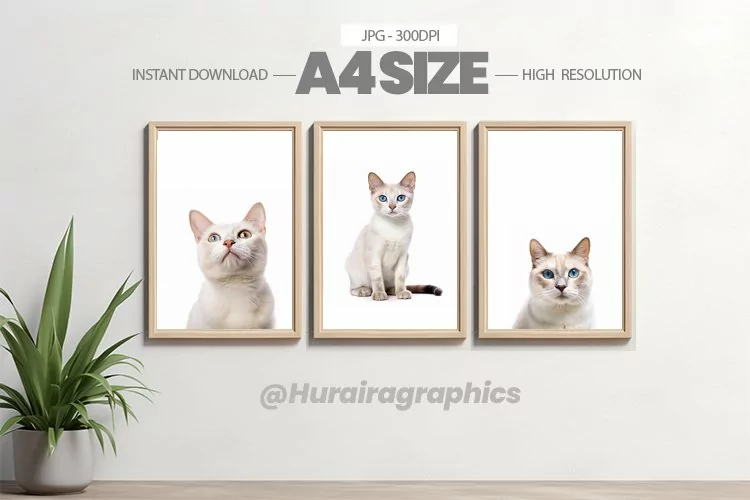 Animal Wall Art - 03 Variations