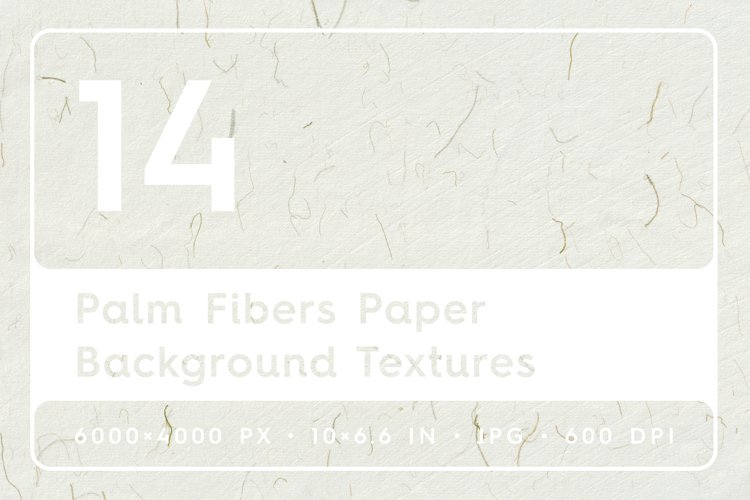 14 Palm Fibers Paper Textures example image 1