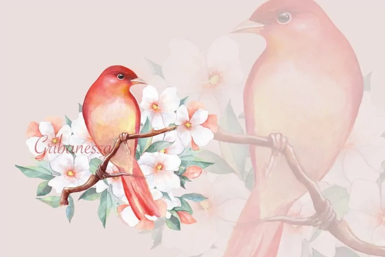 Red bird on branch