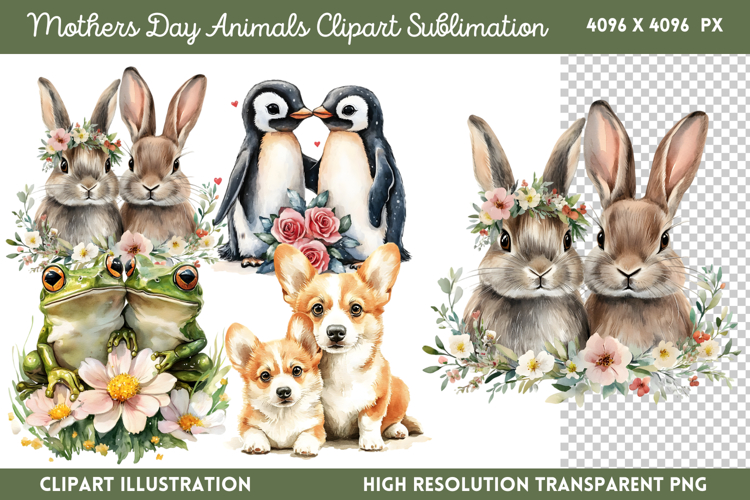 Animals Png