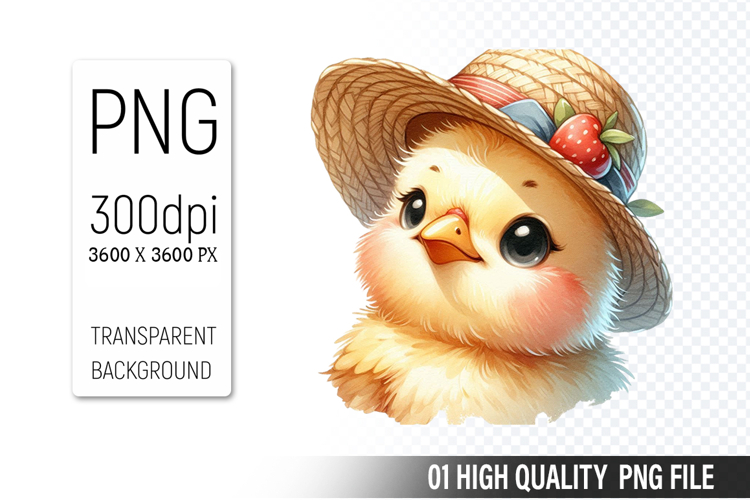 Animal Graphics