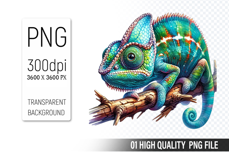 Animal Graphics Image 10