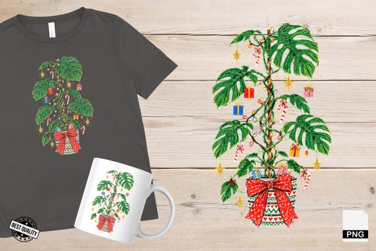 Christmas Houseplants PNG example image 1