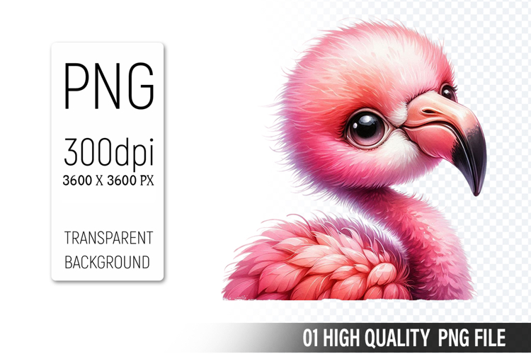 Cute Flamingo Clipart Image 11