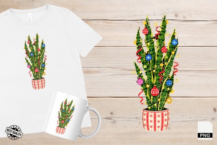 Christmas Houseplants PNG example image 1