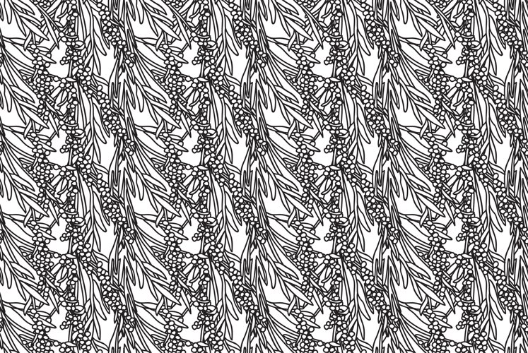 Olive Tree Vector Image 11