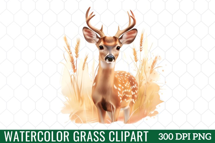 Grass Clipart Image 17