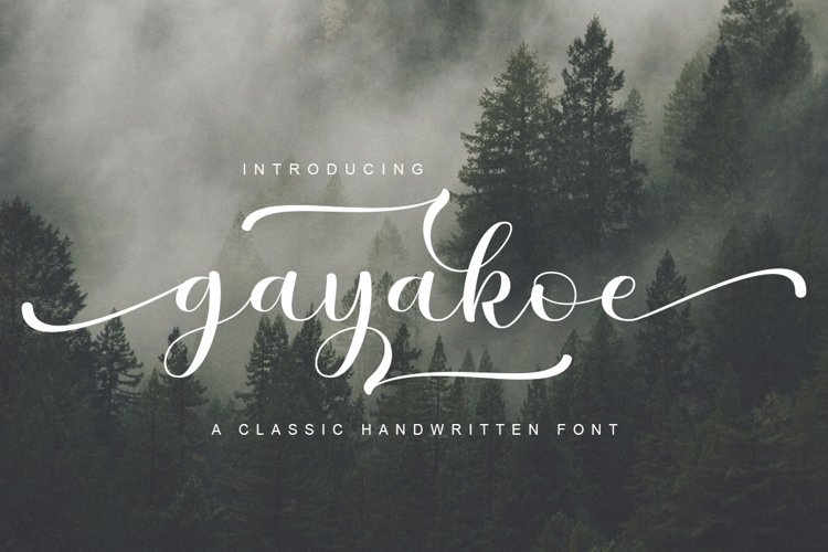 gayakoe example image 1