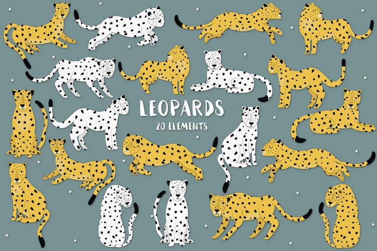 Leopards example image 1