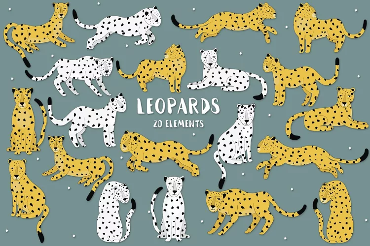 Leopards