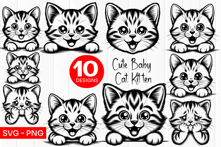 Cute Baby Kitten Clipart SVG PNG