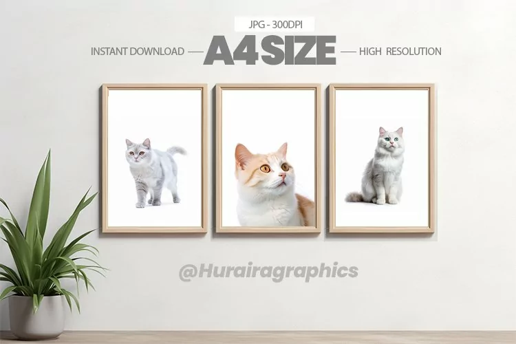 Animal Wall Art - 03 Variations