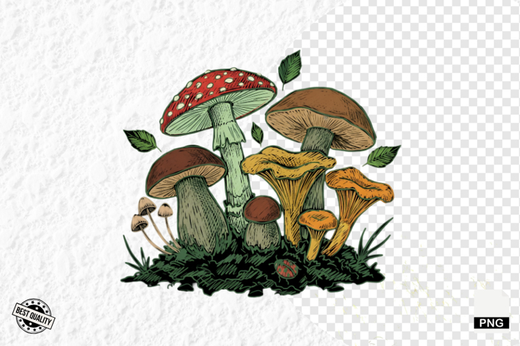 Summer Clipart Image 20