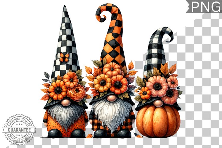 Gnome Clipart Image 12