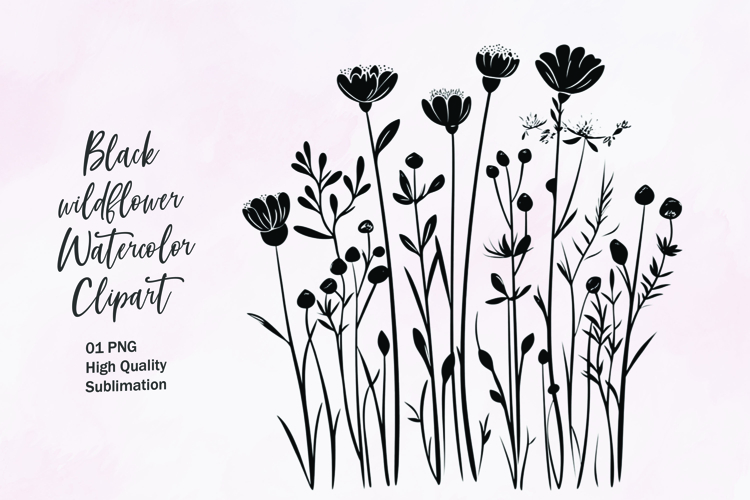 Flower Outline Png Image 14