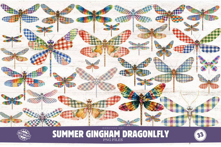 Summer Gingham Dragonfly Clipart
