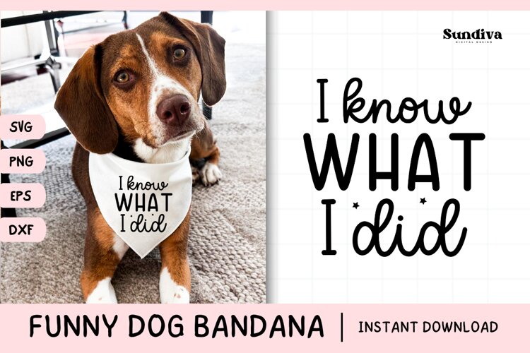 Funny Dog Bandana Quotes SVG | I Know What I Did