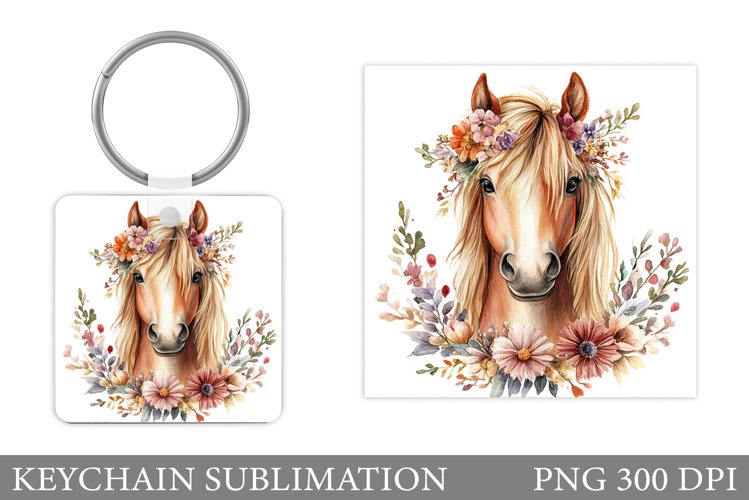 Cute Horse Pictures Image 14