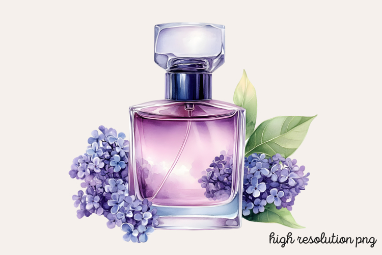 Lilac Illustration Image 20