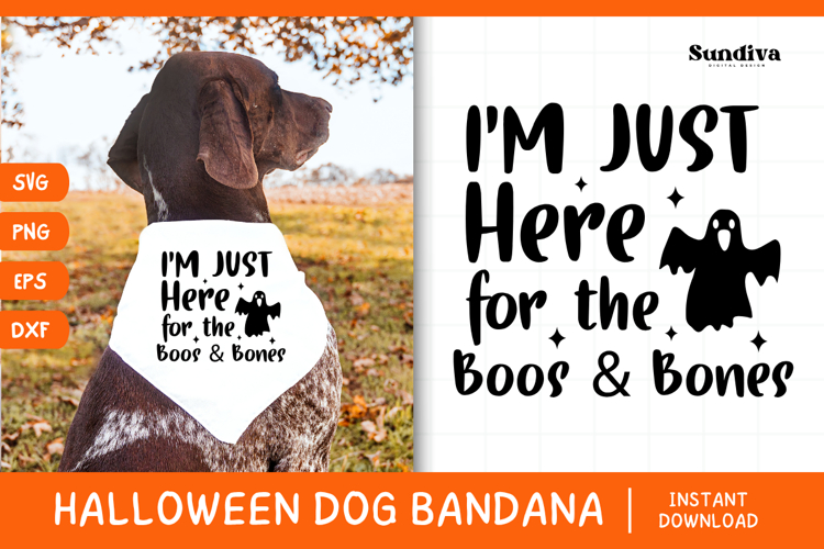 Funny Halloween Dog Bandana Quote SVG | Boos   Bones