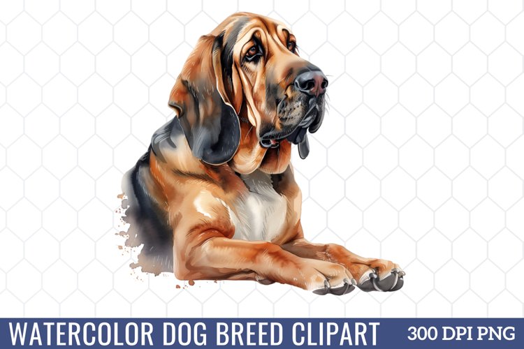 Spring Clipart Image 17