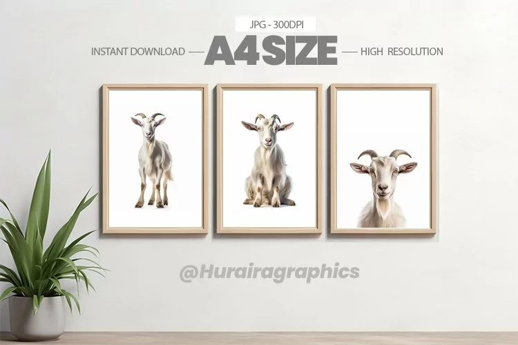 Animal Wall Art - 03 Variations