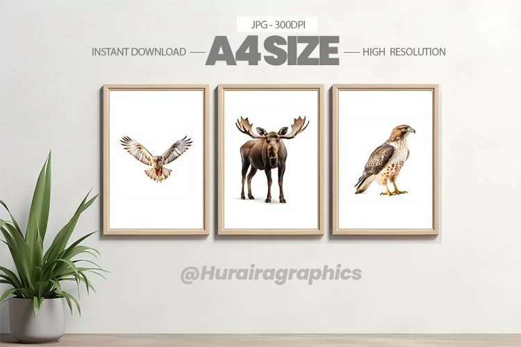 Animal Wall Art - 03 Variations