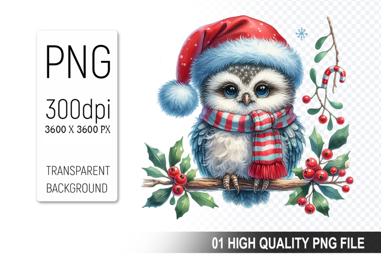 Owl Illustration Image 3