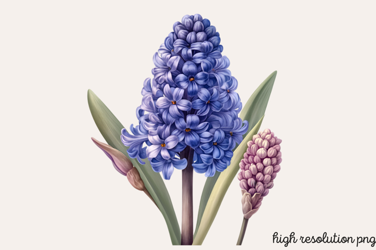 Blue Flower Clipart Image 20
