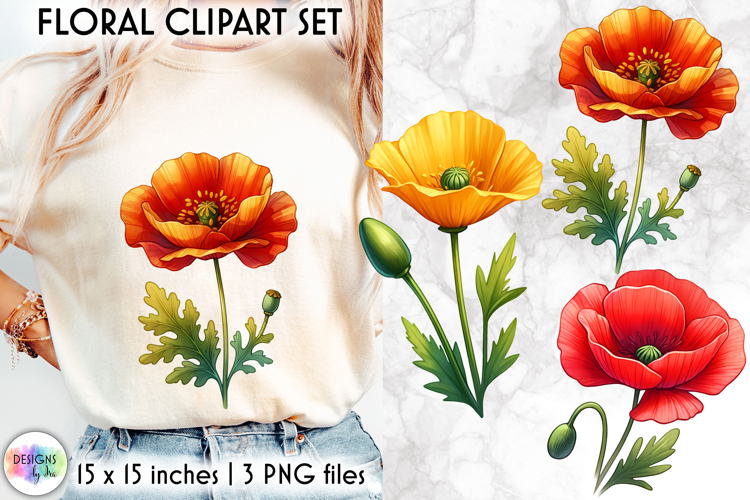 Poppy Illustration Image 20