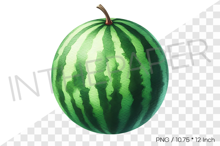 Whole Watermelon PNG Summer Fruit Clipart Watercolor Illust