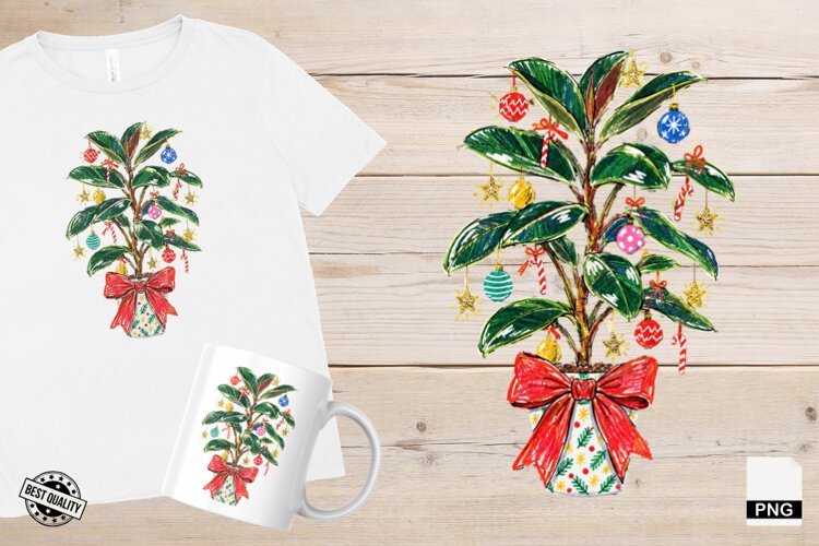 Christmas Houseplants PNG example image 1
