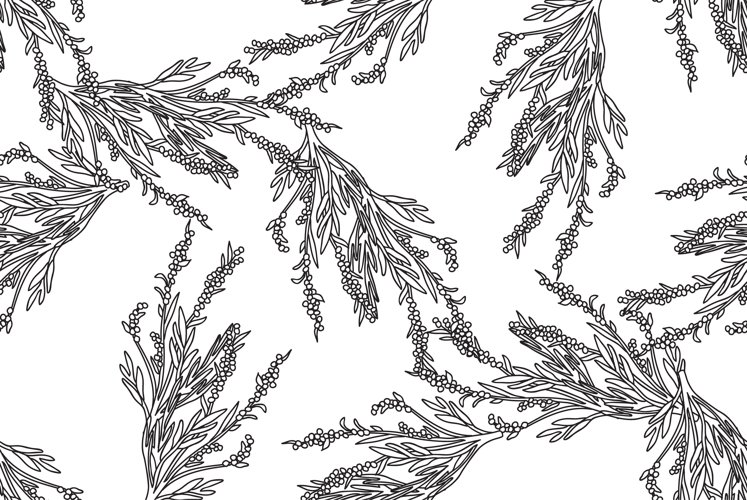 Olive Tree Vector Image 10