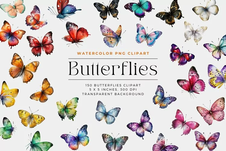150 Watercolor Colorful Butterfly Clipart