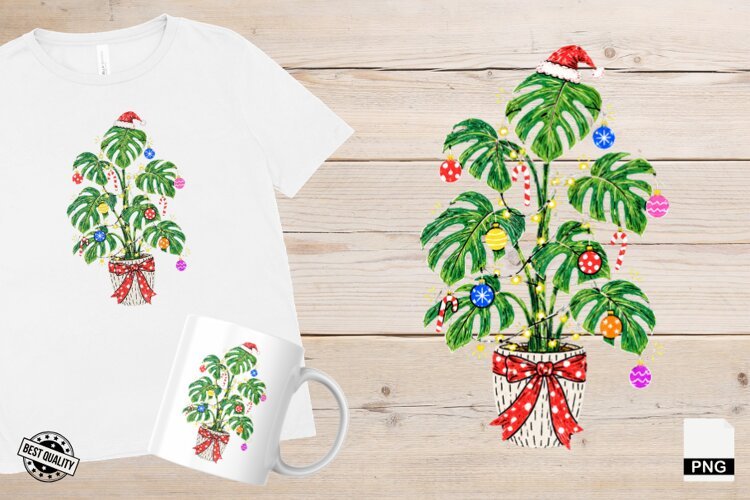 Christmas Houseplants PNG example image 1