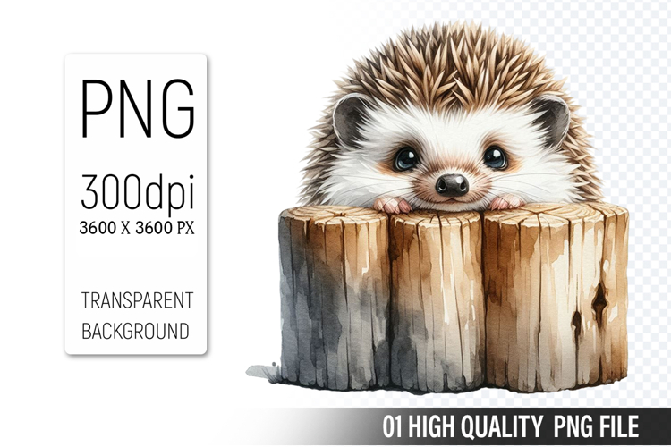 Cute Hedgehog, Animal Sublimation Clipart PNG