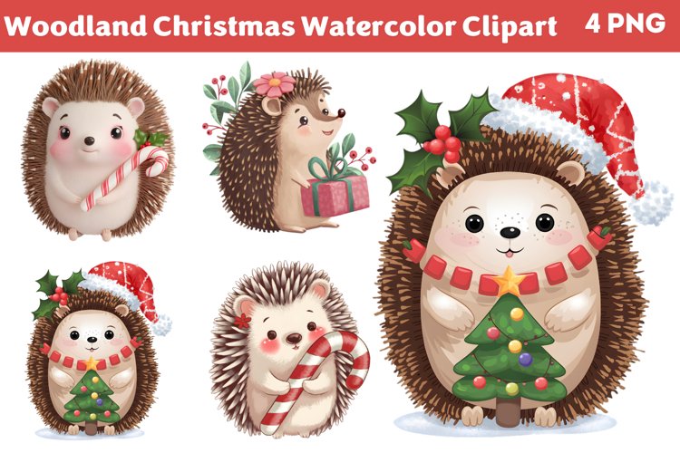 Boho Christmas Clipart Image 6