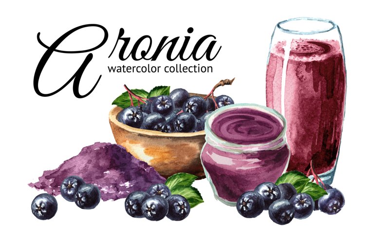 Aronia. Watercolor collection example image 1