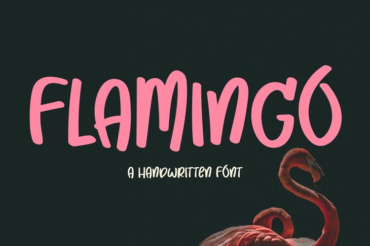 Flamingo example image 1