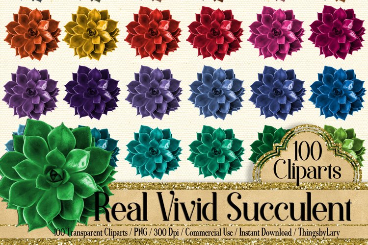 Succulent Clipart Image 18