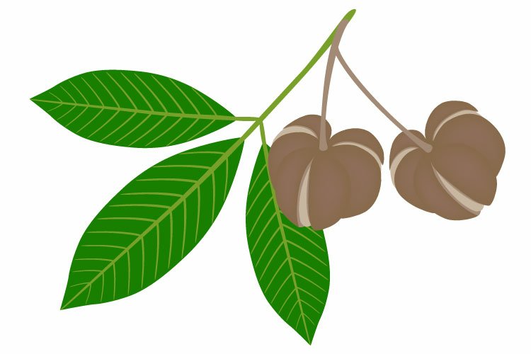 Health Clipart Image 10