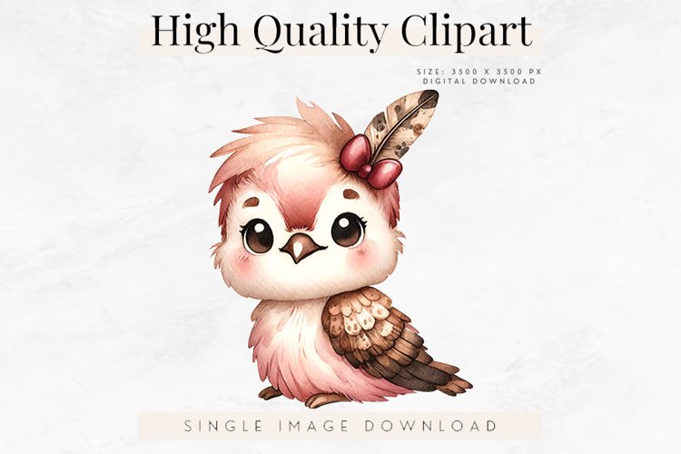 Feather Clipart Image 19