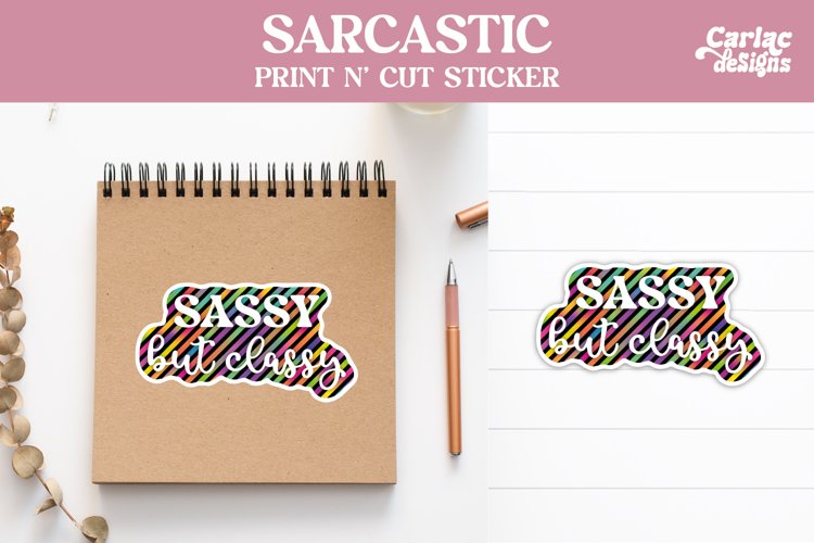 Funny Stickers, Sarcastic Stickers, Sassy but Classy