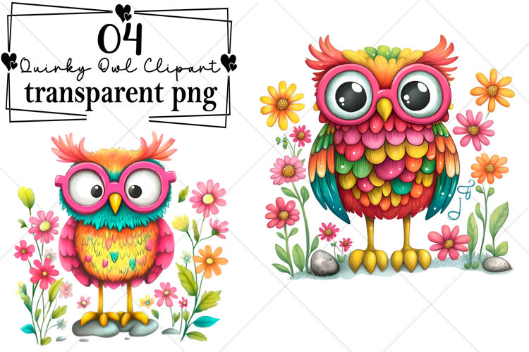 Watercolor Quirky Owl Clipart Watercolor PNG