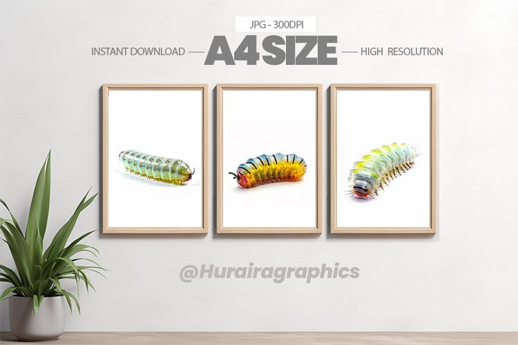 Animal Wall Art - 03 Variations example image 1