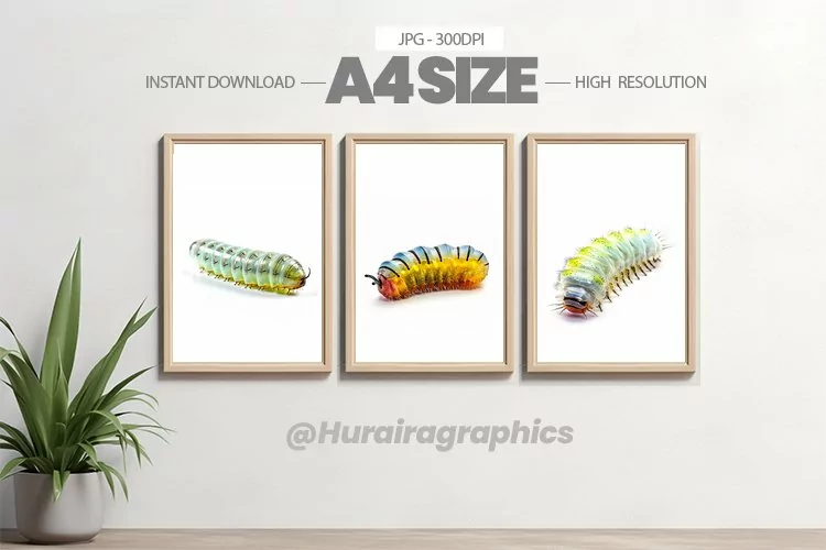 Animal Wall Art - 03 Variations