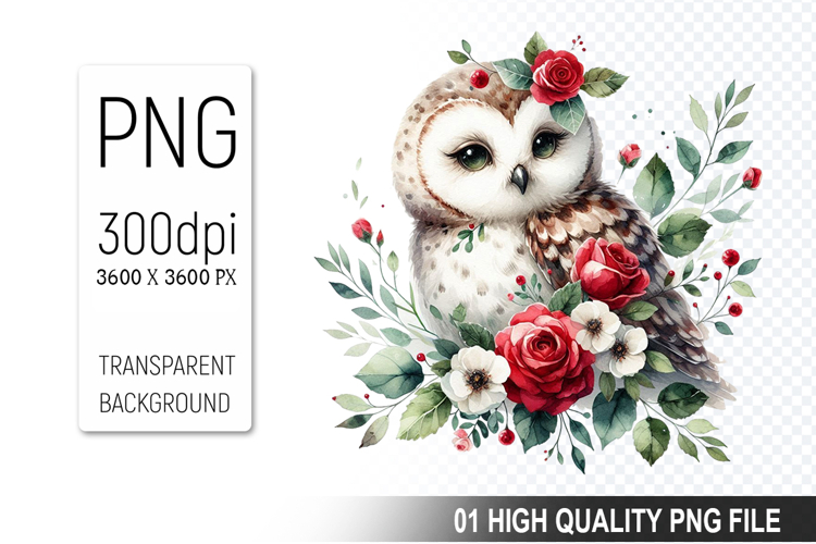 Owl Clipart Image 13