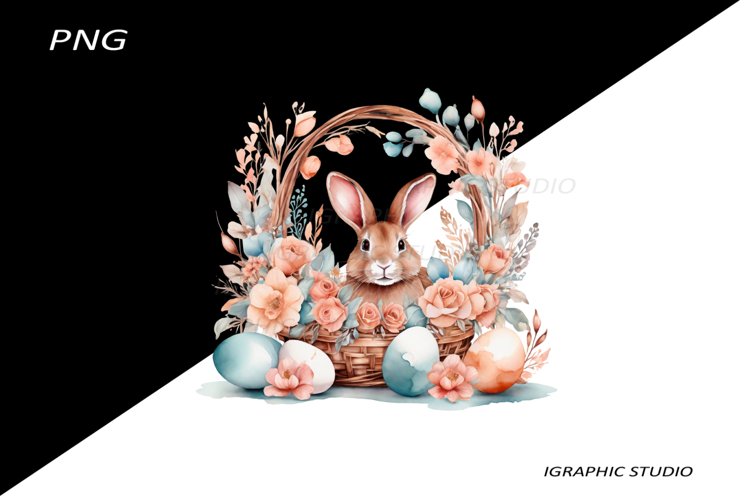 Egg Png Image 14