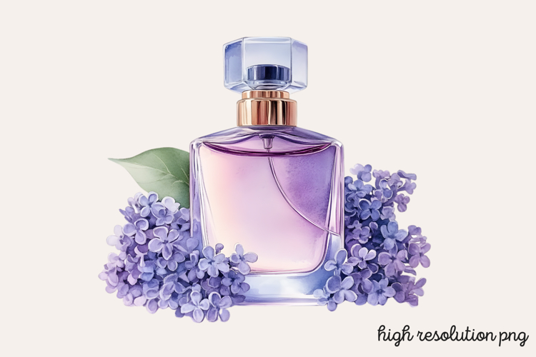 Lilac Illustration Image 19